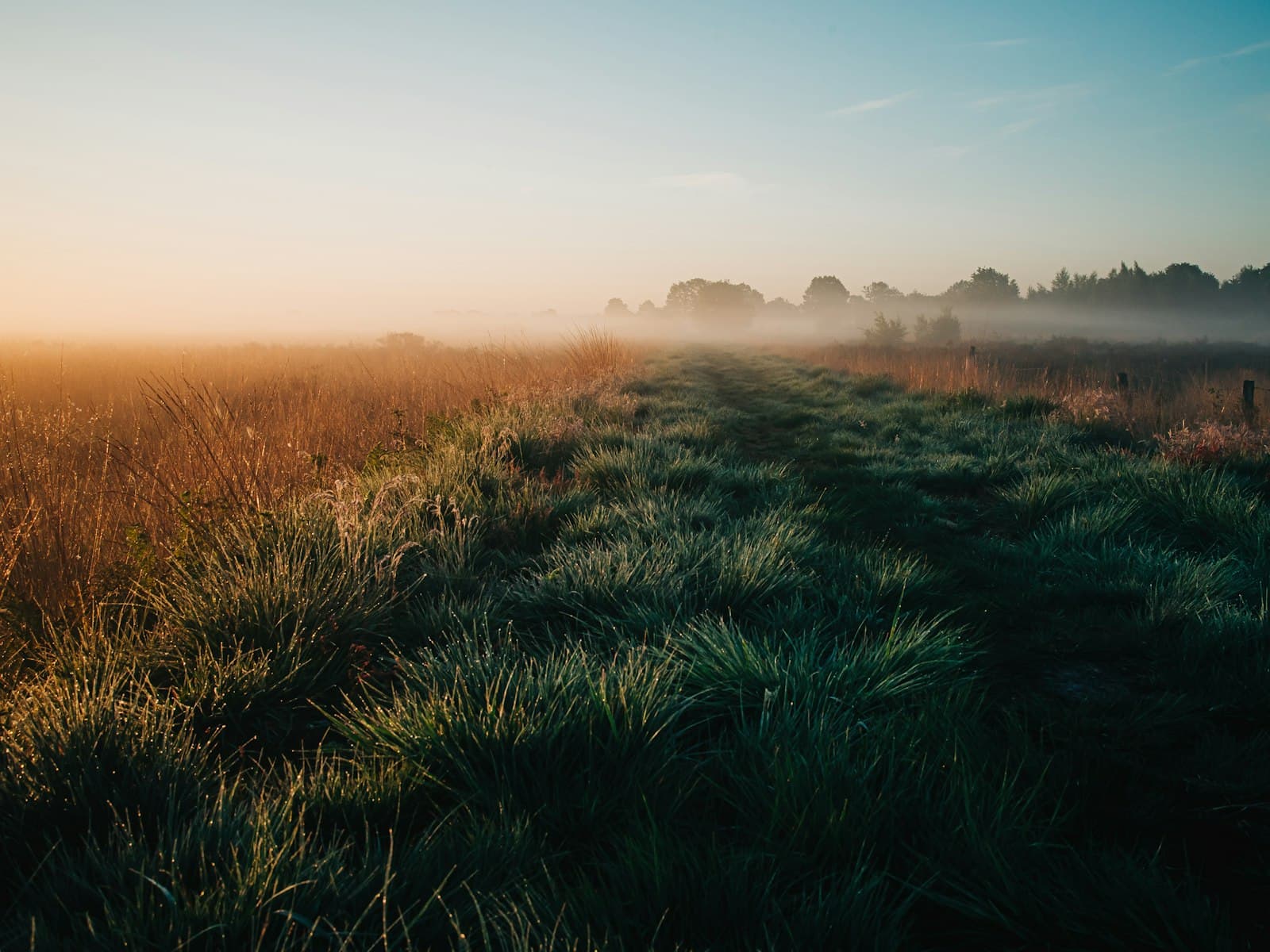 How to Choose a Life Coach in Melbourne, and What to Ask First