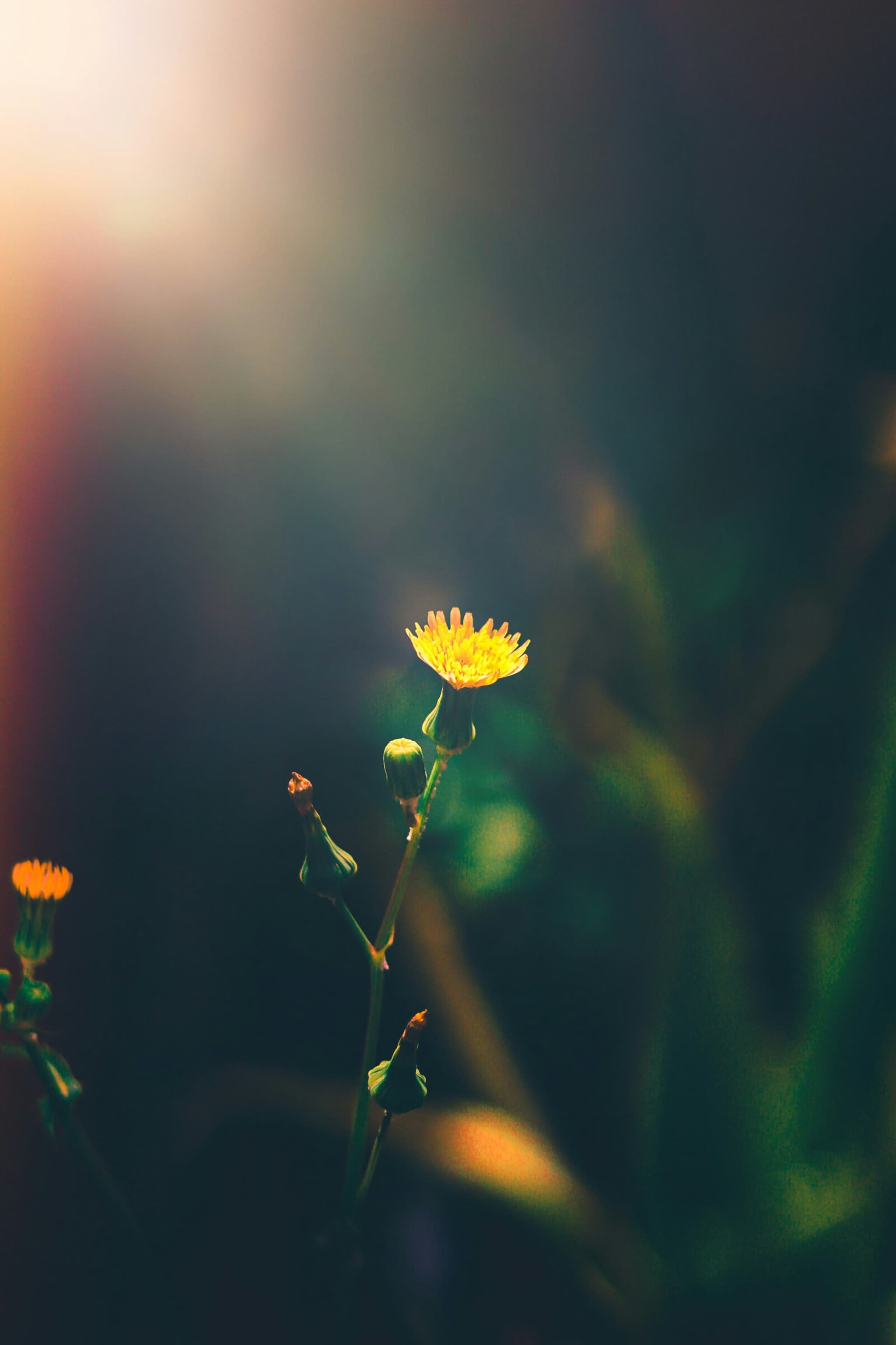 Why Good Things Do Not Stay With You